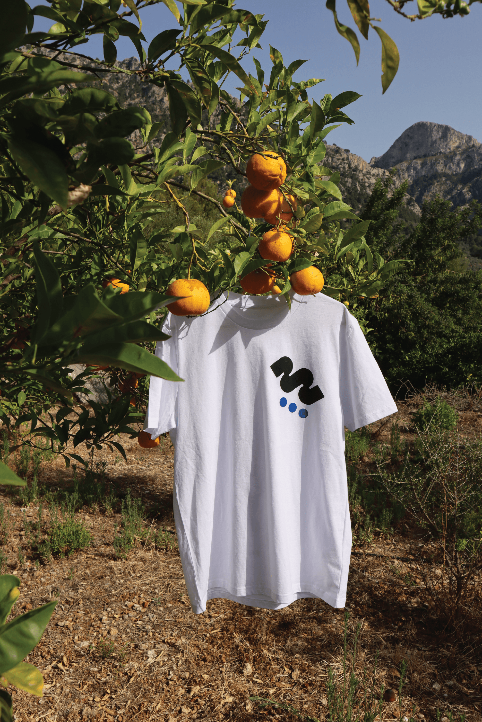 Lifeguard Logo Mallorca #02