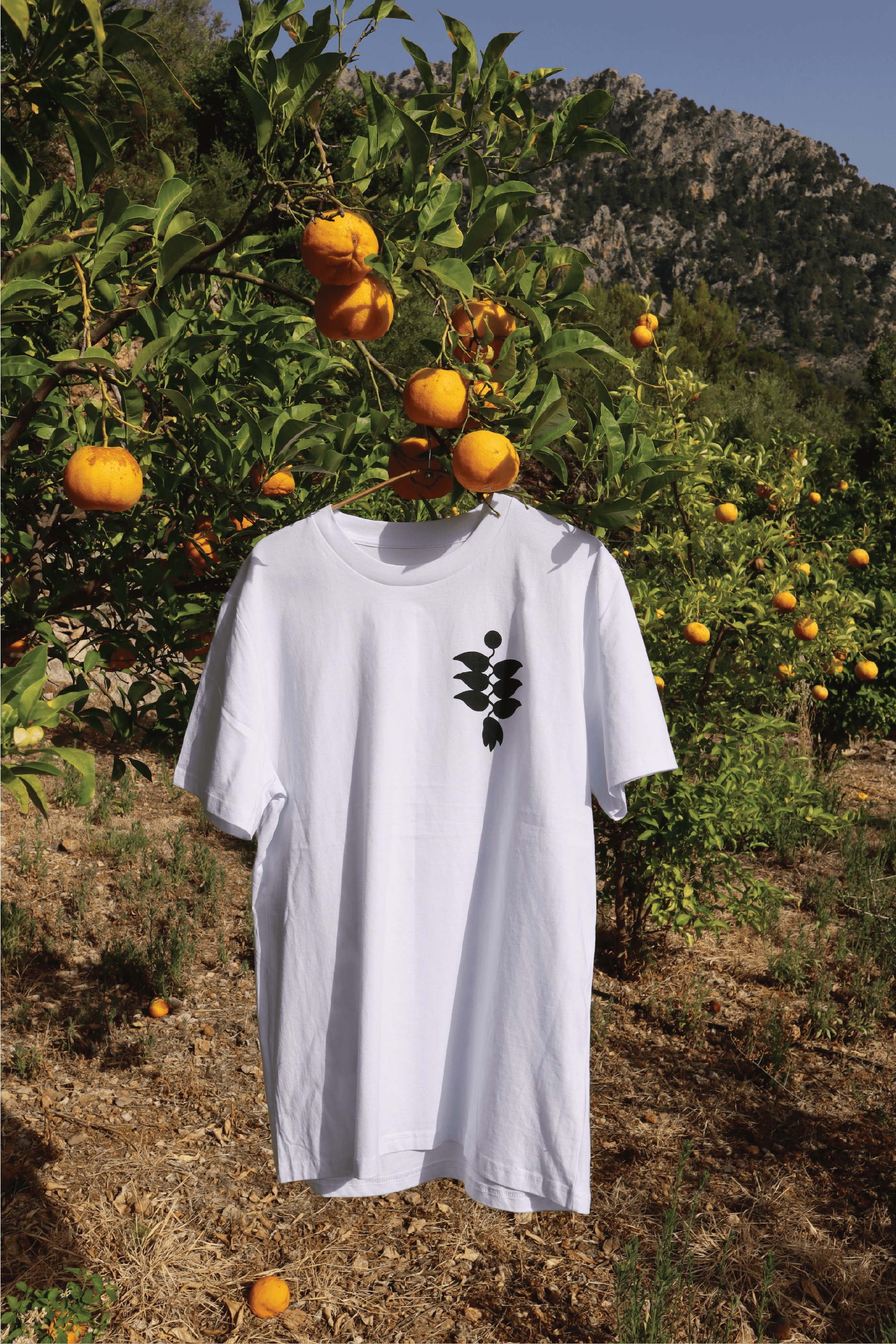Jungle #01